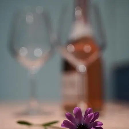 Apartman Lej & Laj *