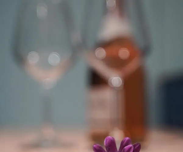 Appartamento Lej & Laj *